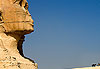 Sphynx