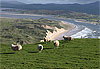 Voyage en Irlande