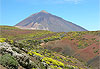 El Teide