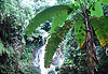Cascade