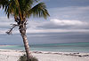 La plage