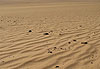 Dans la Tassili du Hoggar