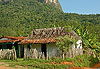 Vall�e de vinales