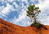 Colorado Provencal