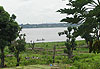 Brazzaville - bord du fleuve Congo