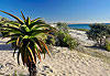 Plage d'Itampolo