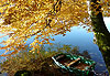 Couleurs d�automne - Lac de Bonlieu