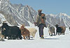 Passage au DARKOT PASS (4650m)