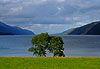 Vue romantique sur le loch Ness