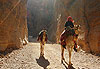 Chamelier à Petra