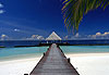 Bienvenue au paradis