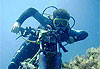 Plong�e � Bali