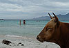 Plage du Lodo