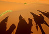Shadow of dromedaries