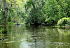 Au coeur du bayou