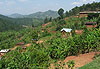 Paysage � Ruhengeri