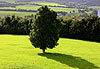 Du haut de Knowth