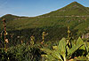 Le Puy Mary - 1783m