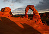 Delicate Arche