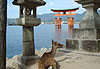 Miyajima