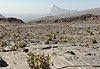 En montant au Djebel Shams