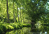 Le marais poitevin
