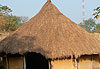Case � Kissidougou
