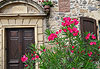 Balade en Aveyron