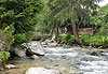 Ruisseau dans les Vel�ka Fatra