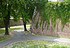 Grand mur de briques et maronniers, Kalemegdan, Belgrade