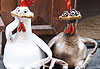 Les poulettes de Vilnius