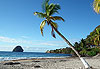 Plage avec le rocher 