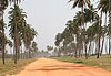 Route des p�ches