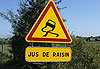Vendange en Gironde