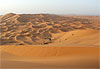 Oasis près de Merzouga