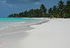Immobilit� tropicale