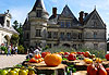 Fête de la tomate