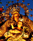 <a href=http://www.flickr.com/photos/7920127@N04/2520491033/ class=txt02 target=_blank>� Jejomar Alcaraz Roberto</a>