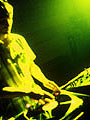 � www.sonar.es