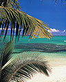 � Office du Tourisme de Guadeloupe