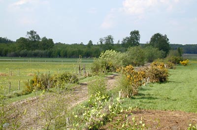 Pour un petit tour� de Flandres ?
