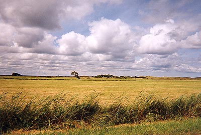 Caen