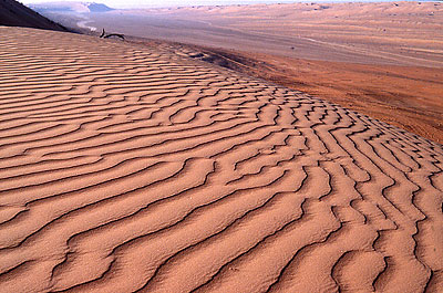 Rouge et miel : les dunes de Wahiba