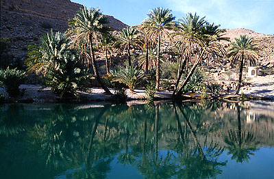 Vert oasis : wadi et falaj