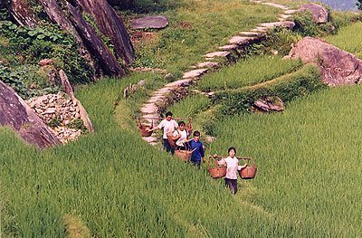 Petits tracas et fou rire � v�lo dans la vall�e (Li Jiang - fleuve)