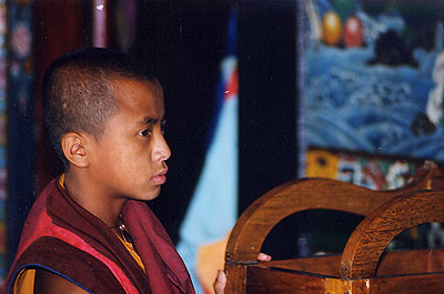 Vers la f�licit� des lamas