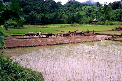 Au c�ur de l'Asie