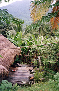 Visite d'un village hmong : Ban Dom Han