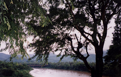 Les Akha