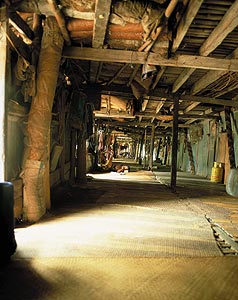 Séjourner dans une longhouse